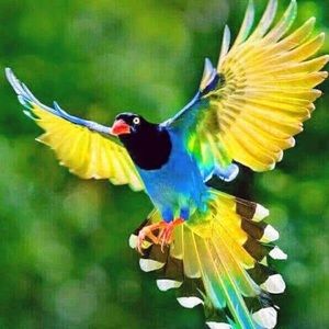 Meet your Posher, Lorena